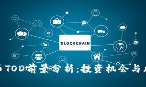 加密货币TOD前景分析：投资机会与风险并存