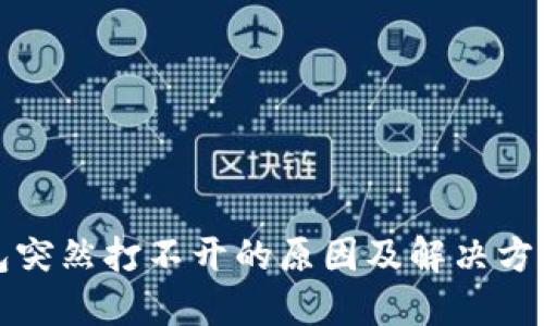 TP钱包突然打不开的原因及解决方法详解